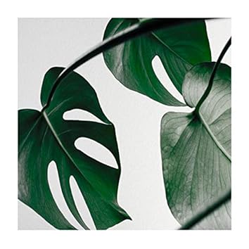 Amazon Music UnlimitedでGREEN ASSASSIN DOLLARを聴く